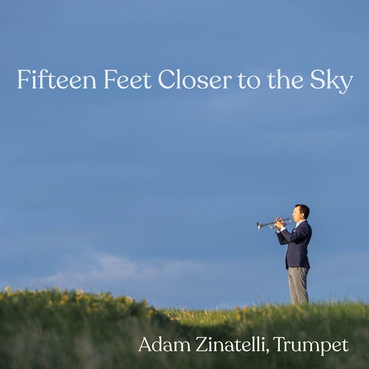 Fifteen Feet Closer To The Sky / Adam Zinatelli