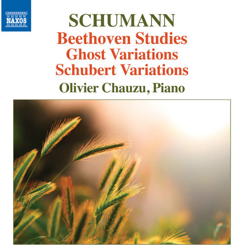 R. Schumann: Piano Variations