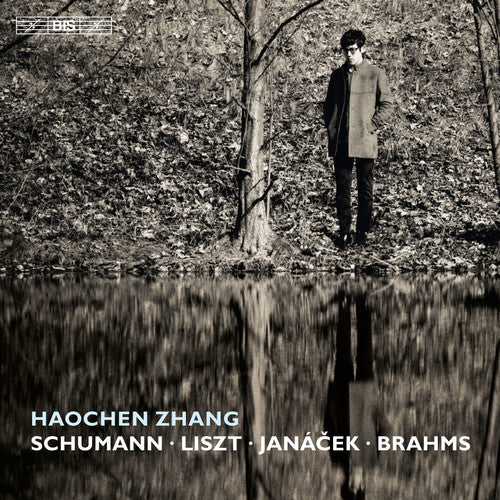 Schumann, Liszt, Janácek & Brahms: Piano Works