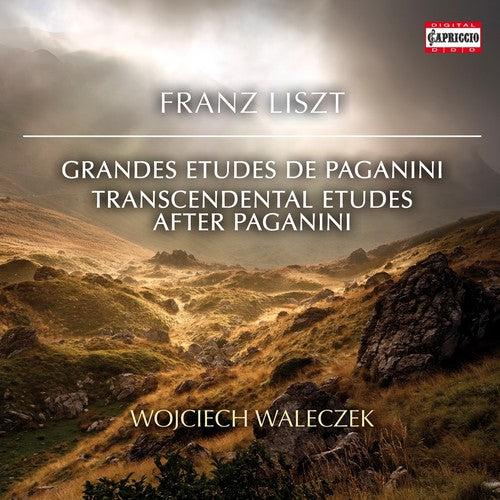 Liszt: Grandes études de Paganini, S. 141 & Études d'exécuti