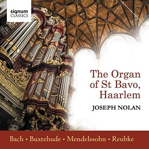 The Organ of St Bavo, Haarlem