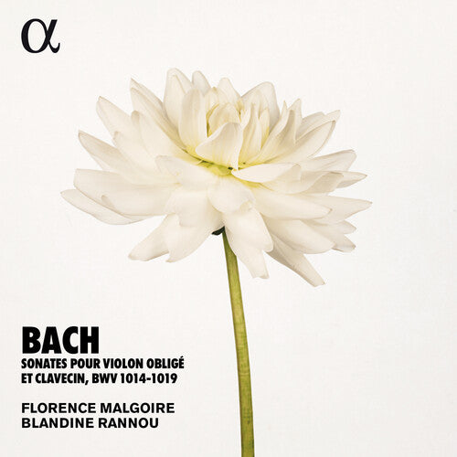 Bach: Sonates pour violon obligé et clavecin, BWV 1014-1019