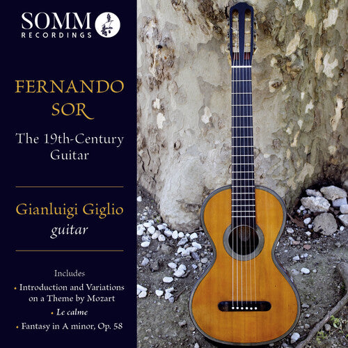The 19th-Century Guitar