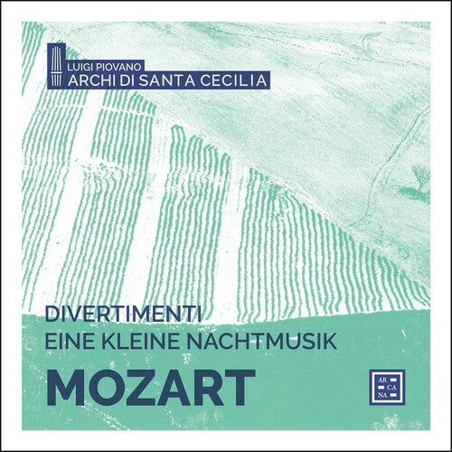 Mozart: Divertimenti & Eine kleine Nachtmusik