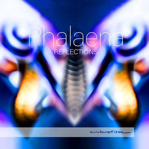 REFLECTIONS