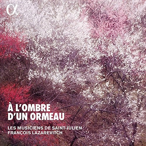 À l'ombre d'un ormeau