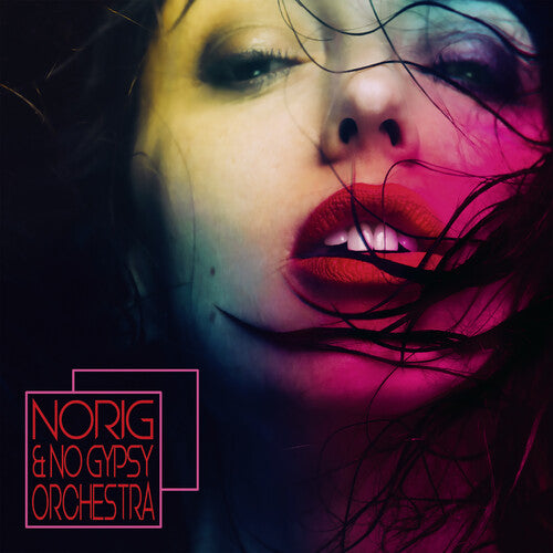 NORIG & NO GYPSY ORCHESTRA