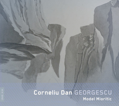 MODEL MIORITIC