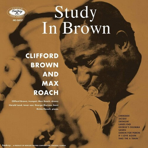 STUDY IN BROWN