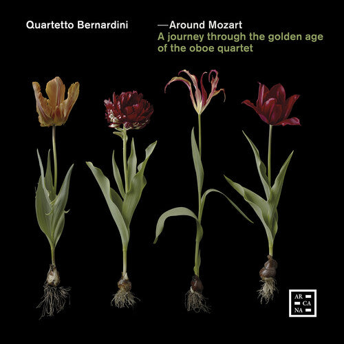 Around Mozart. A Journey Through the Golden Age of the Oboe