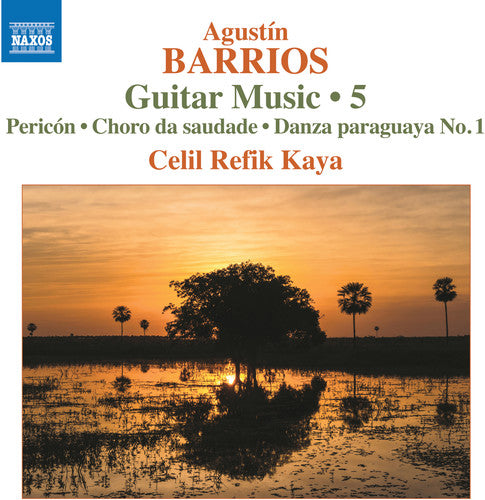 Barrios Mangoré: Guitar Music, Vol. 5