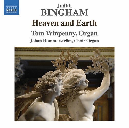 Bingham: Heaven And Earth