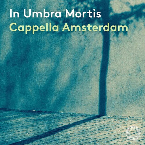 In Umbra Mortis - A Chromatic Journey