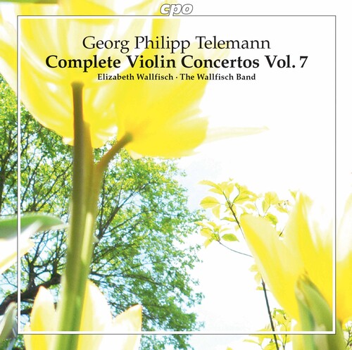 V7: COMPLETE VIOLIN CONCERTOS