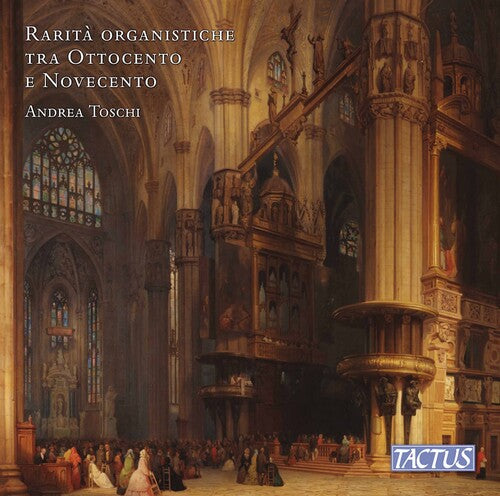 Rare 19Th & 20Th Century Organ  Andrea Toschi
