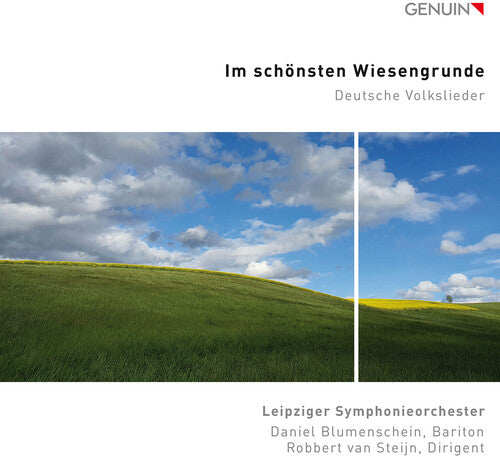 Mendelssohn, Mozart, Silcher & Werner: Im schonsten Wiesengr