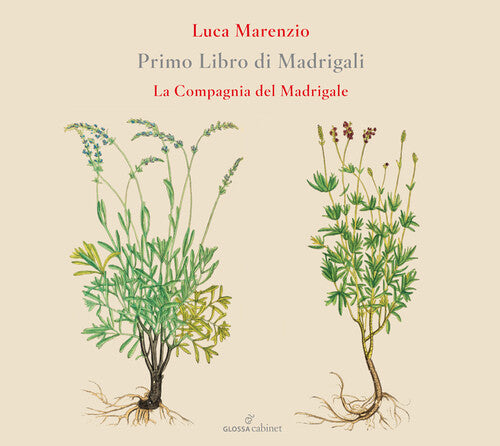 Marenzio: Primo Libro di Madrigali
