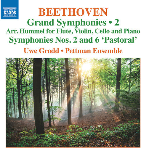 Beethoven: Grand Symphonies, Vol. 2 - Nos. 2 & 6 (Arranged B