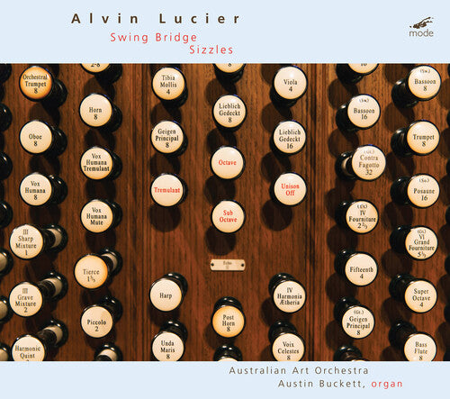 Lucier: Swing Bridge