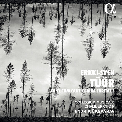 Tuur: Canticum Canticorum Caritatis