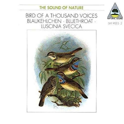 SOUND OF NATURE (THE): Bird of a Thousand Voices - Blaukehlc
