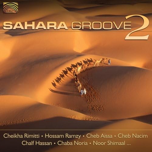 V 2: SAHARA GROOVE