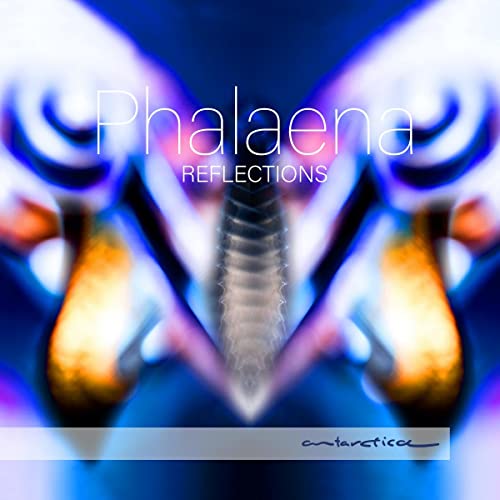 REFLECTIONS