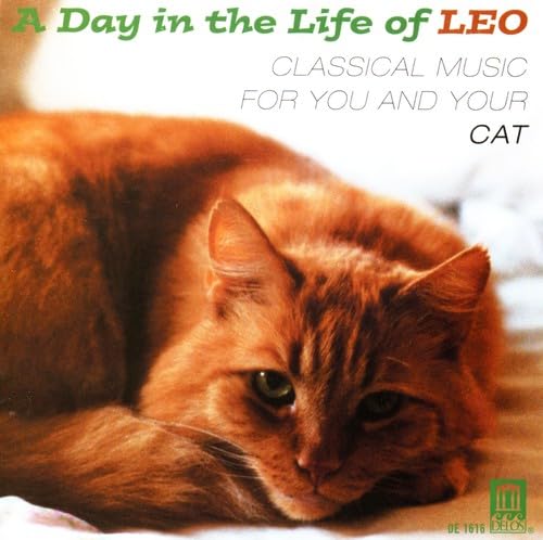 DAY IN THE LIFE OF LEO (A) - Classical Music for You and You