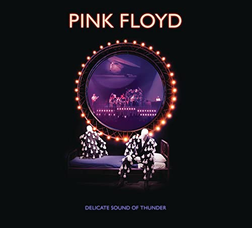 DELICATE SOUND OF THUNDER