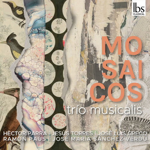 Greco, Parra, Paus, Sanchez-Verdu & Torres: Mosaicos
