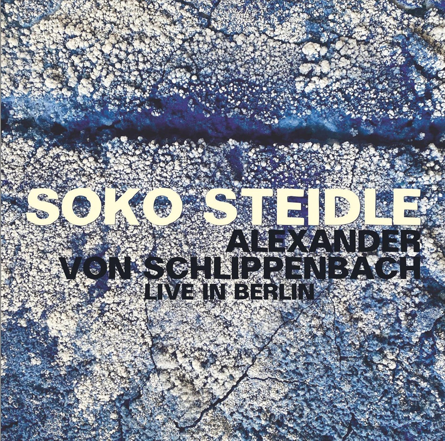 Steidle: Live in Berlin