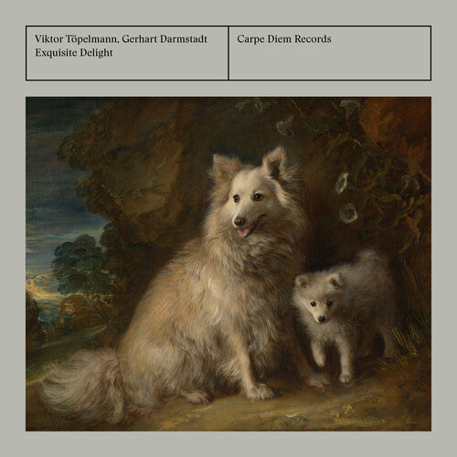 Abel, Hammer, Lidl & Mozart: Exquisite Delight