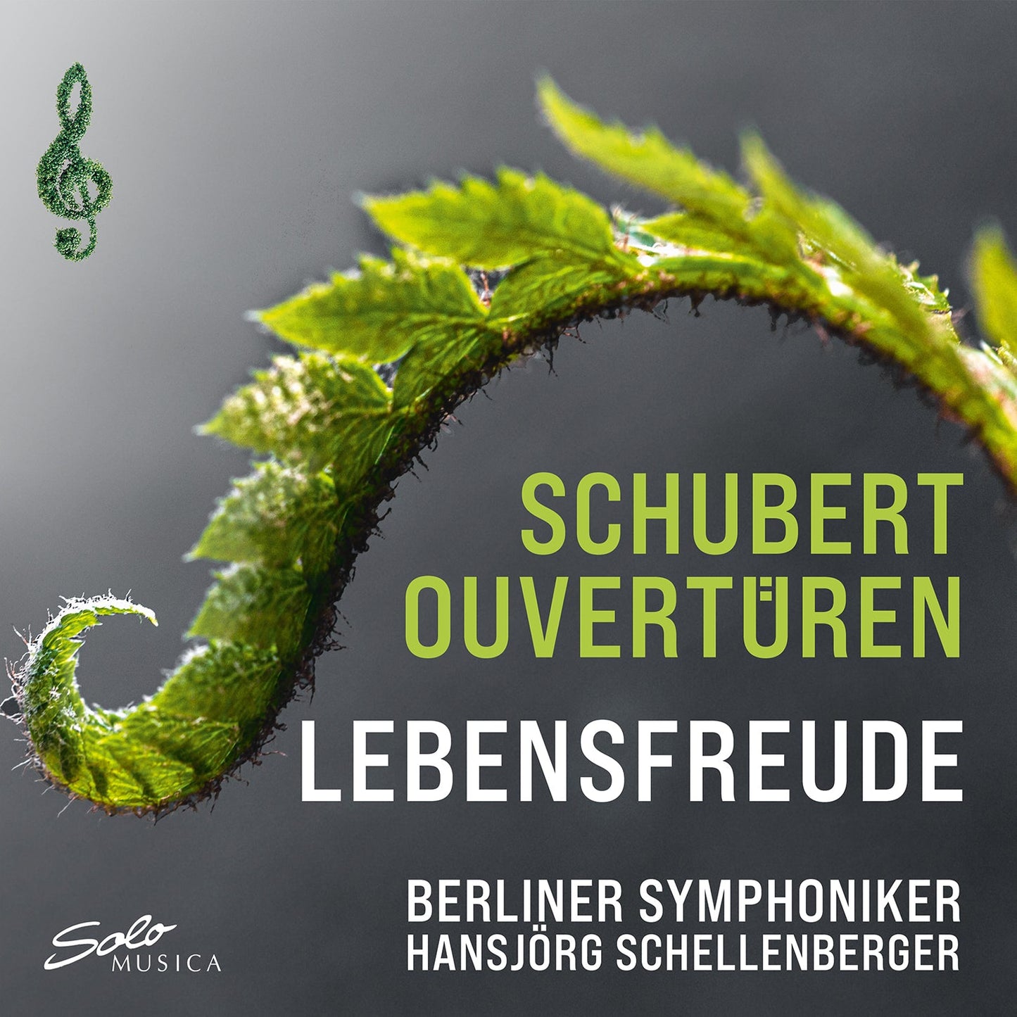 Schubert: Lebensfreude Overtures
