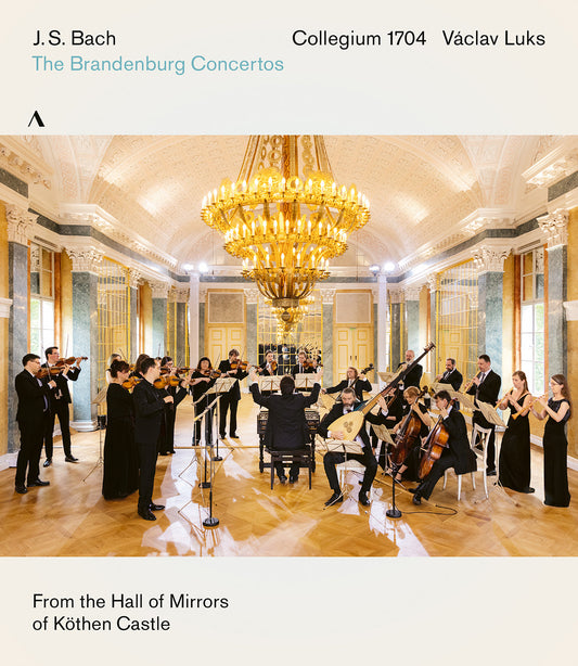 Bach: The Brandenburg Concertos  Collegium 1704, Ute Feudel, Vaclav Luks