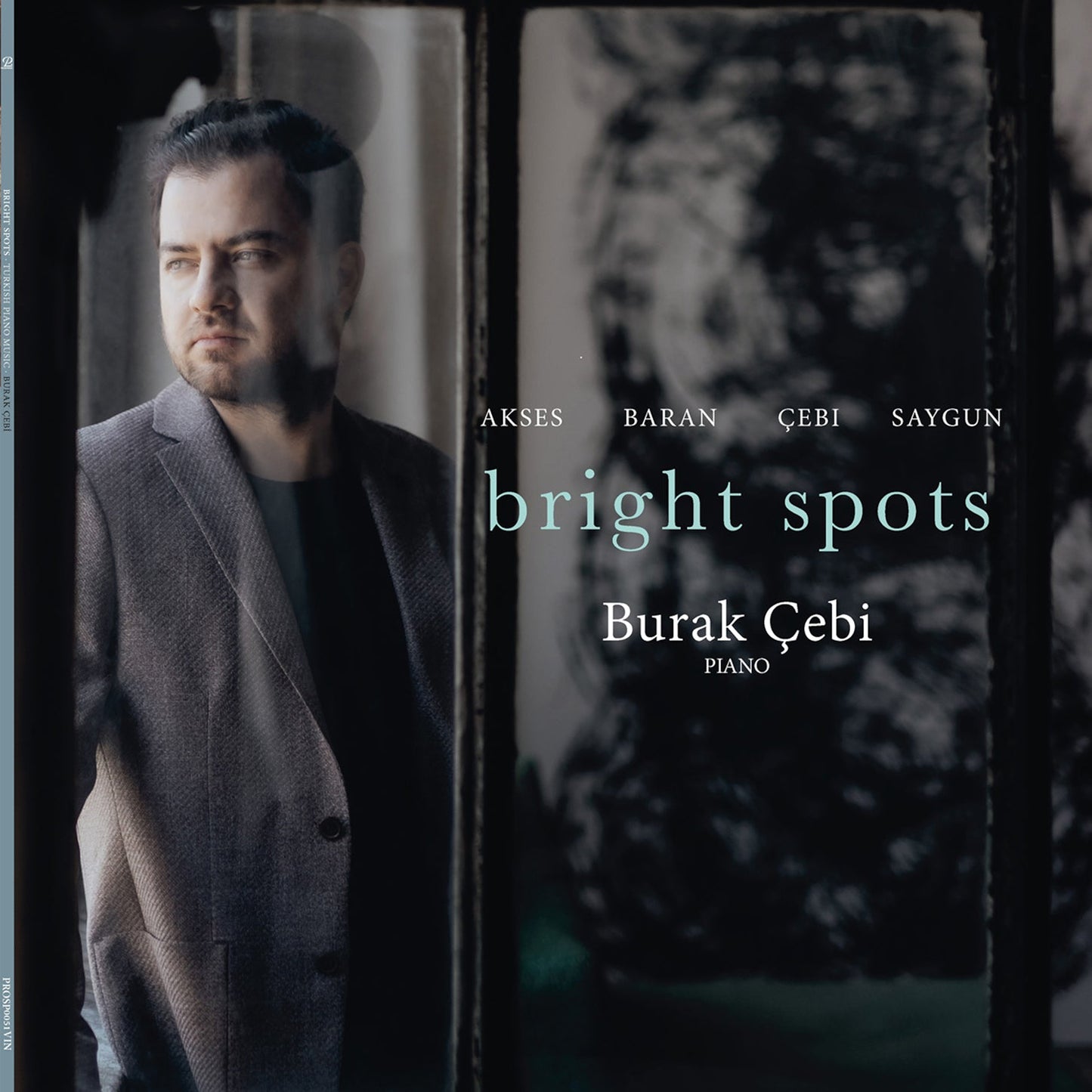 Akses, Baran & Saygun: Bright Spots