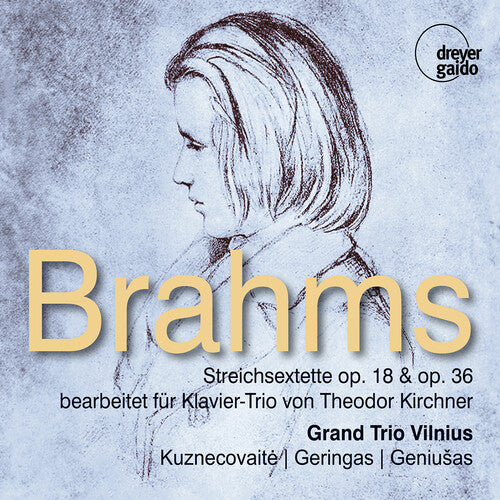 Brahms: String Sextets Opp. 18 & 36, Arr. for Piano by Theod
