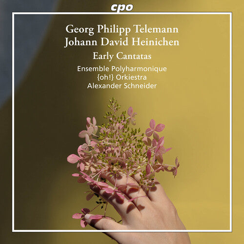 Heinichen & Telemann: Early Cantatas  Ensemble Polyharmonique, {Oh!} Orkiestra
