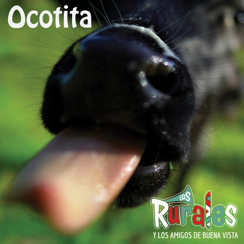 OCOTITIA