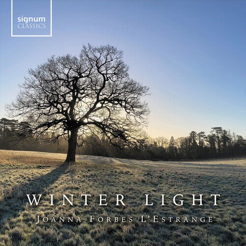 Winter Light / Joanna Forbes L'Estrange