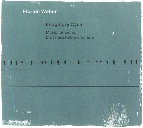 IMAGINARY CYCLE