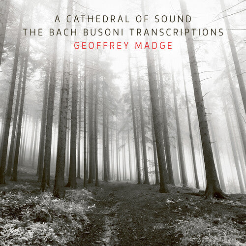 A Cathedral of Sound - The Bach Busoni Transcriptions