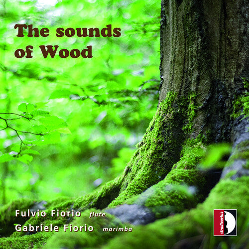The Sounds of Wood
