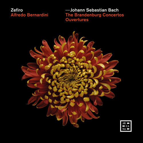 J.S. Bach: The Brandenburg Concertos - Ouvertures  Zefiro, Alfredo Bernardini