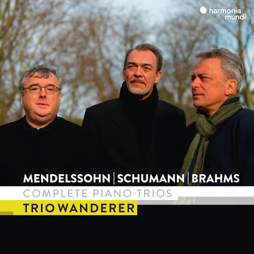 MENDELSSOHN SCHUMANN & BRAHMS: COMPLETE PIANO TRIO