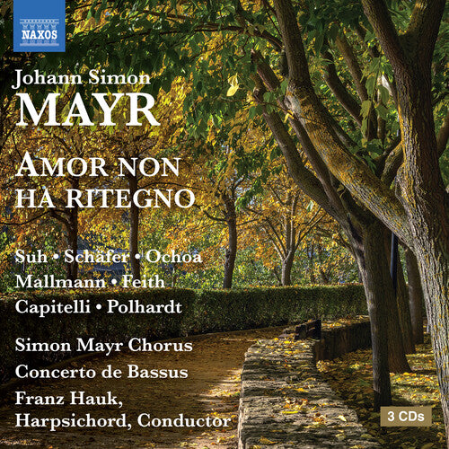 Mayr: Amor non ha ritegno