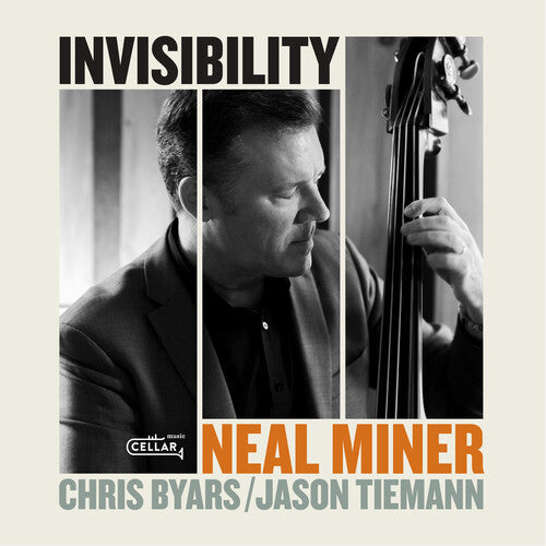 INVISIBILITY