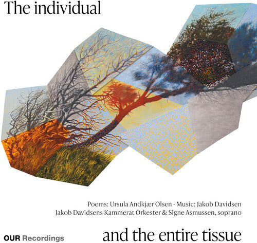 The individual and the entire tissue
