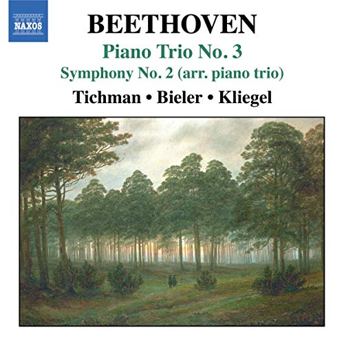 Beethoven, L. Van: Piano Trios, Vol. 3 - Piano Trio No. 3 /