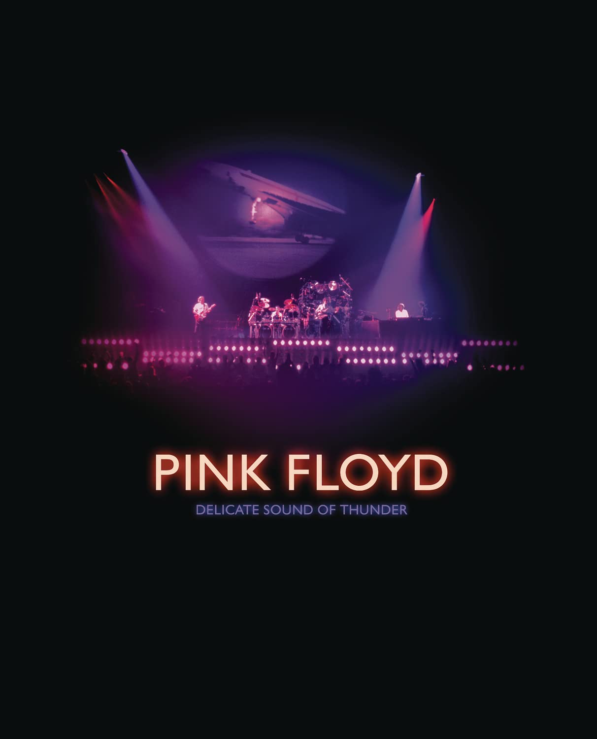 DELICATE SOUND OF THUNDER BR