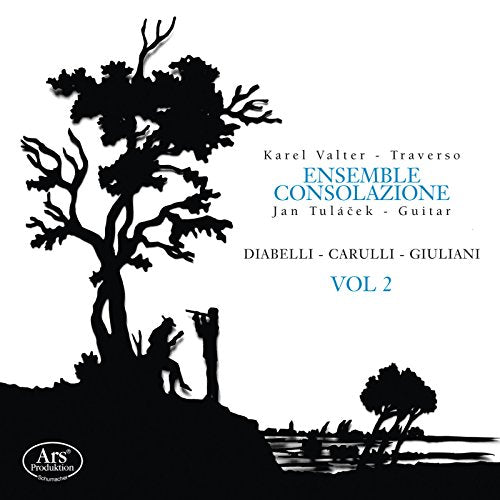 Diabelli, Carulli & Giuliani: Chamber Works, Vol. 2